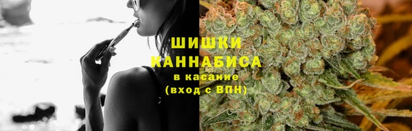 стаф Богородск
