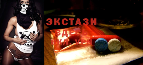 стаф Богородск