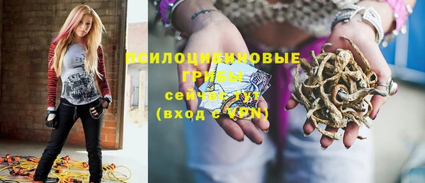 шишки Бронницы