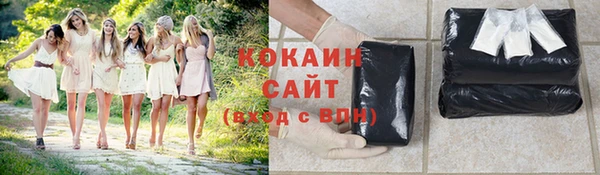 стаф Богородск