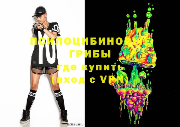 стаф Богородск