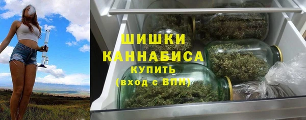 ALPHA PVP Остров