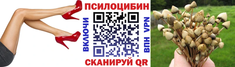блэк спрут ТОР Междуреченск Галлюциногенные грибы ЛСД